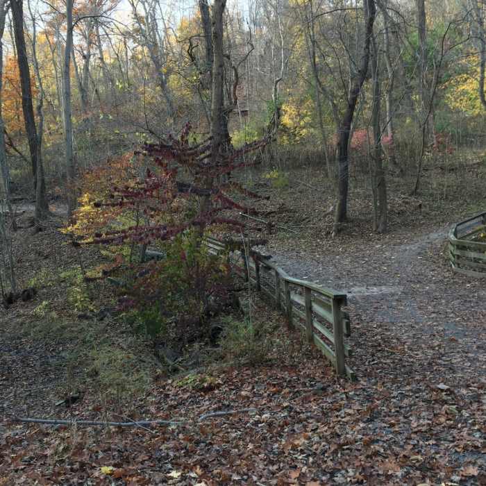 Near Nature Trail