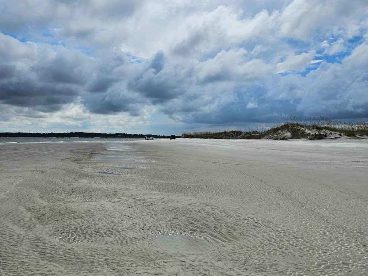 Amelia Island State Park trail photo