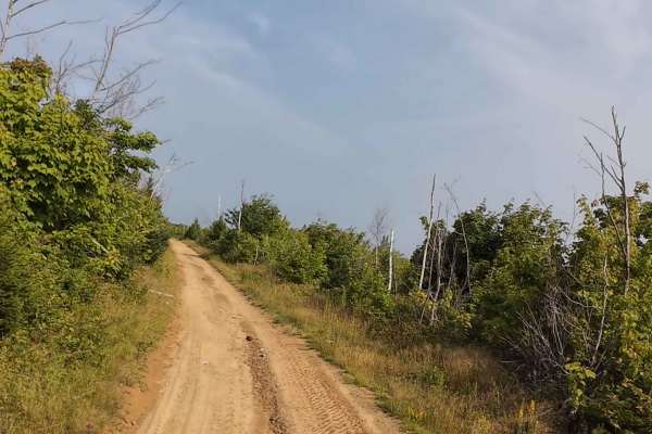 Hardscrabble Clear Cut