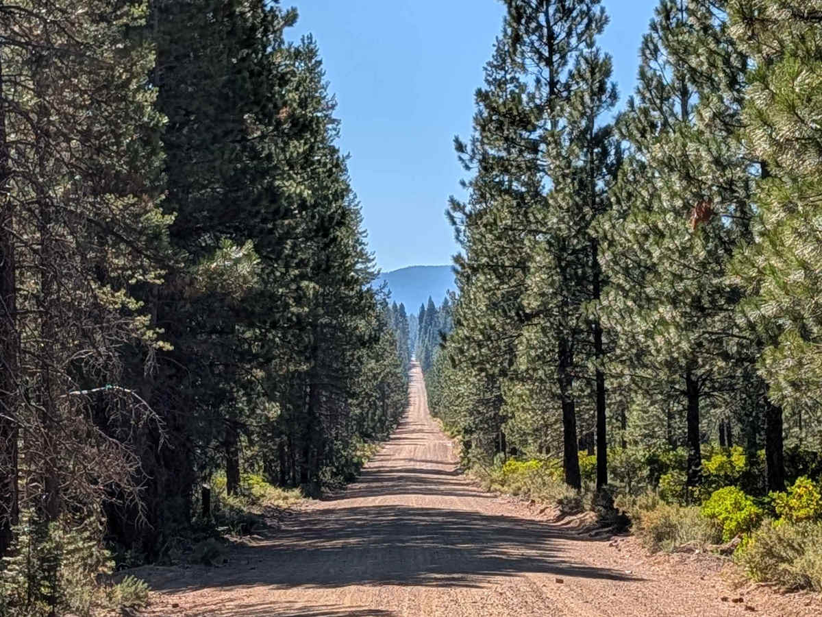 Harris Mountain - FS 42N32 photo 6