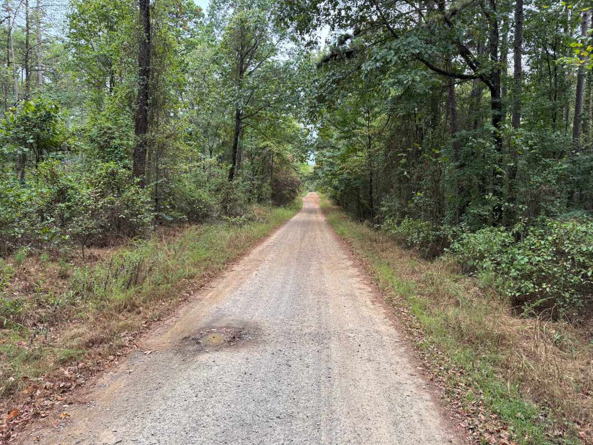 Sorghum Hollow Road trail photo