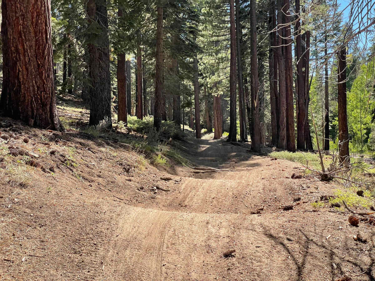Twin Peaks trail photo