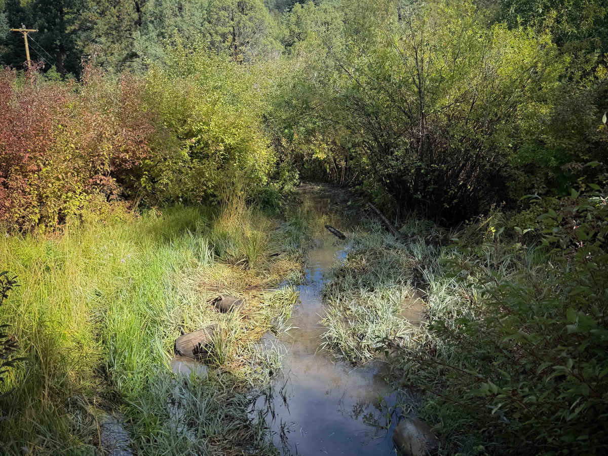 Osha Canyon Trail - FS 20  photo 4