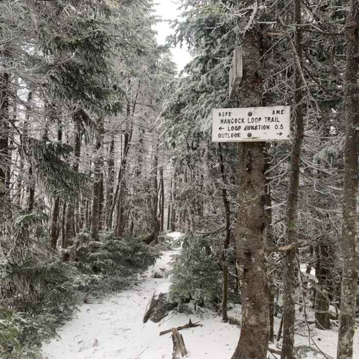 Slightly snowy at the top. Near Hancock Loop Trail