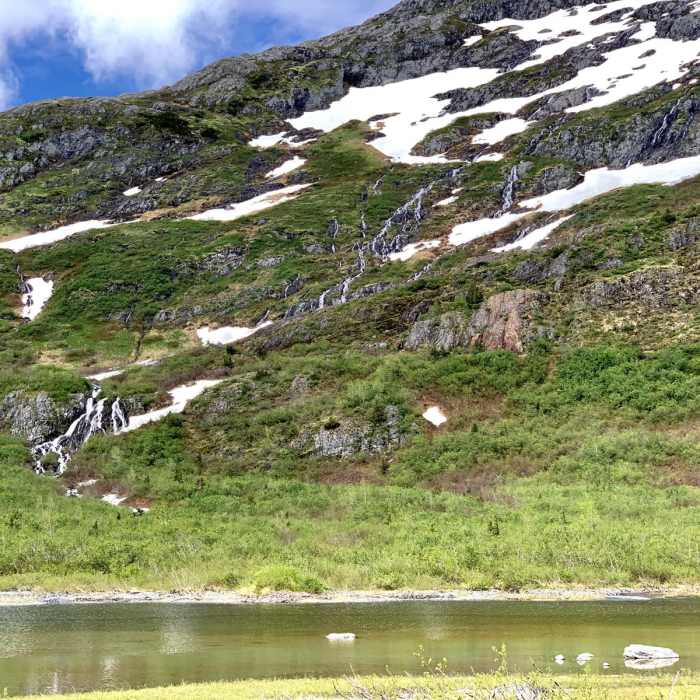 Near Portage Pass Trail Near Portage Pass Trail