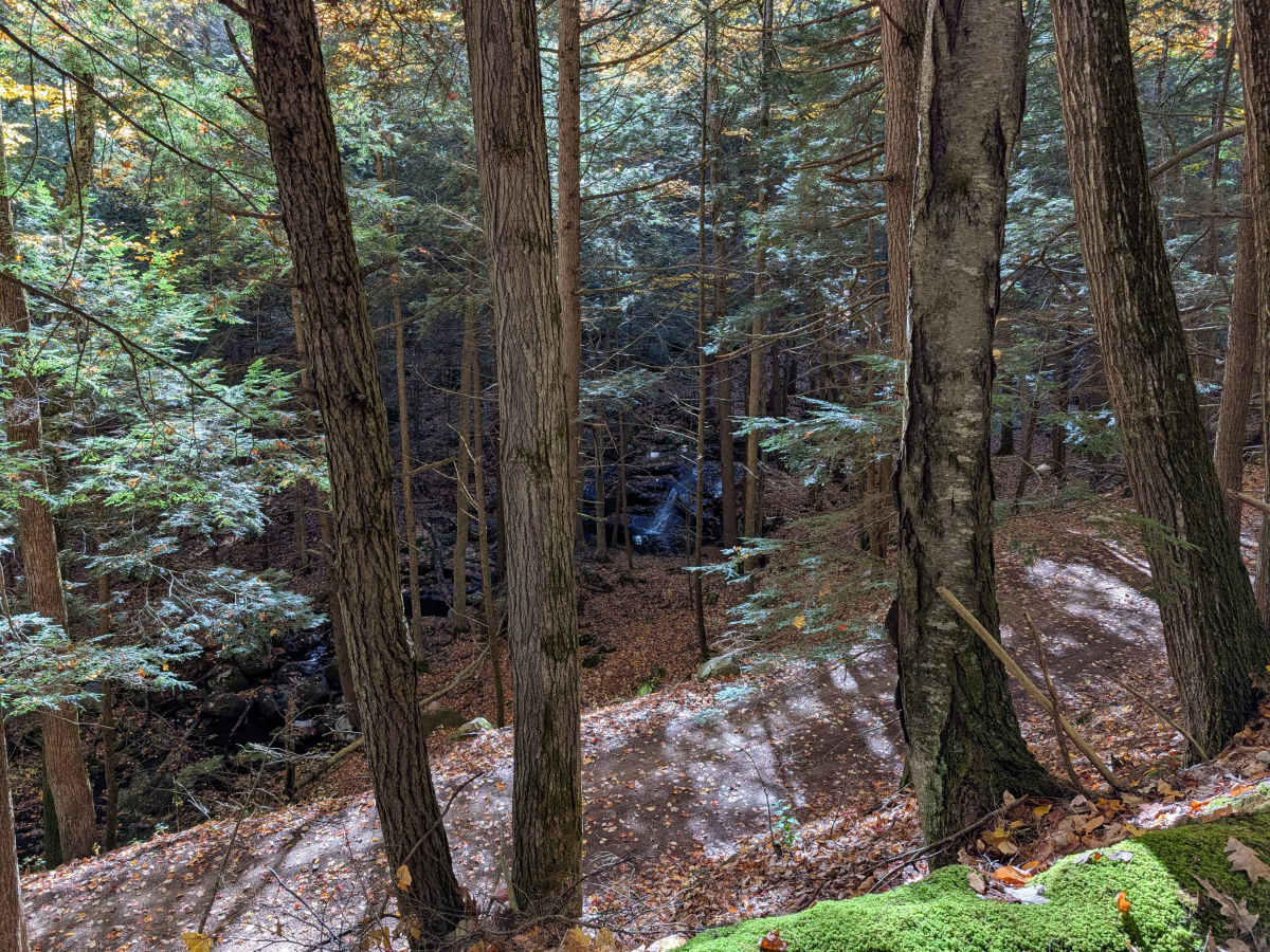 Big Hollow Road photo 6
