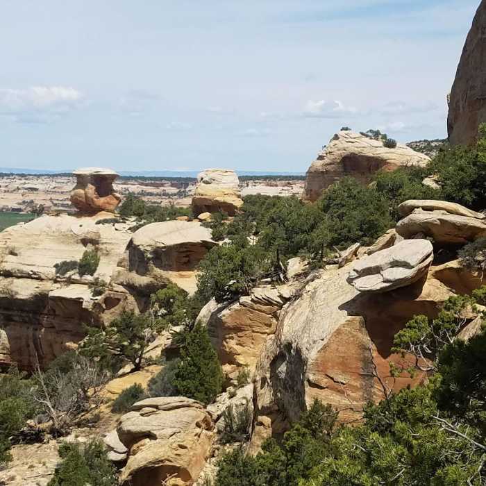 Near Miracle Rock Arch Route