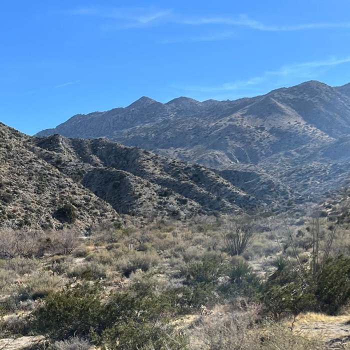 Near Split Rock Petroglyphs