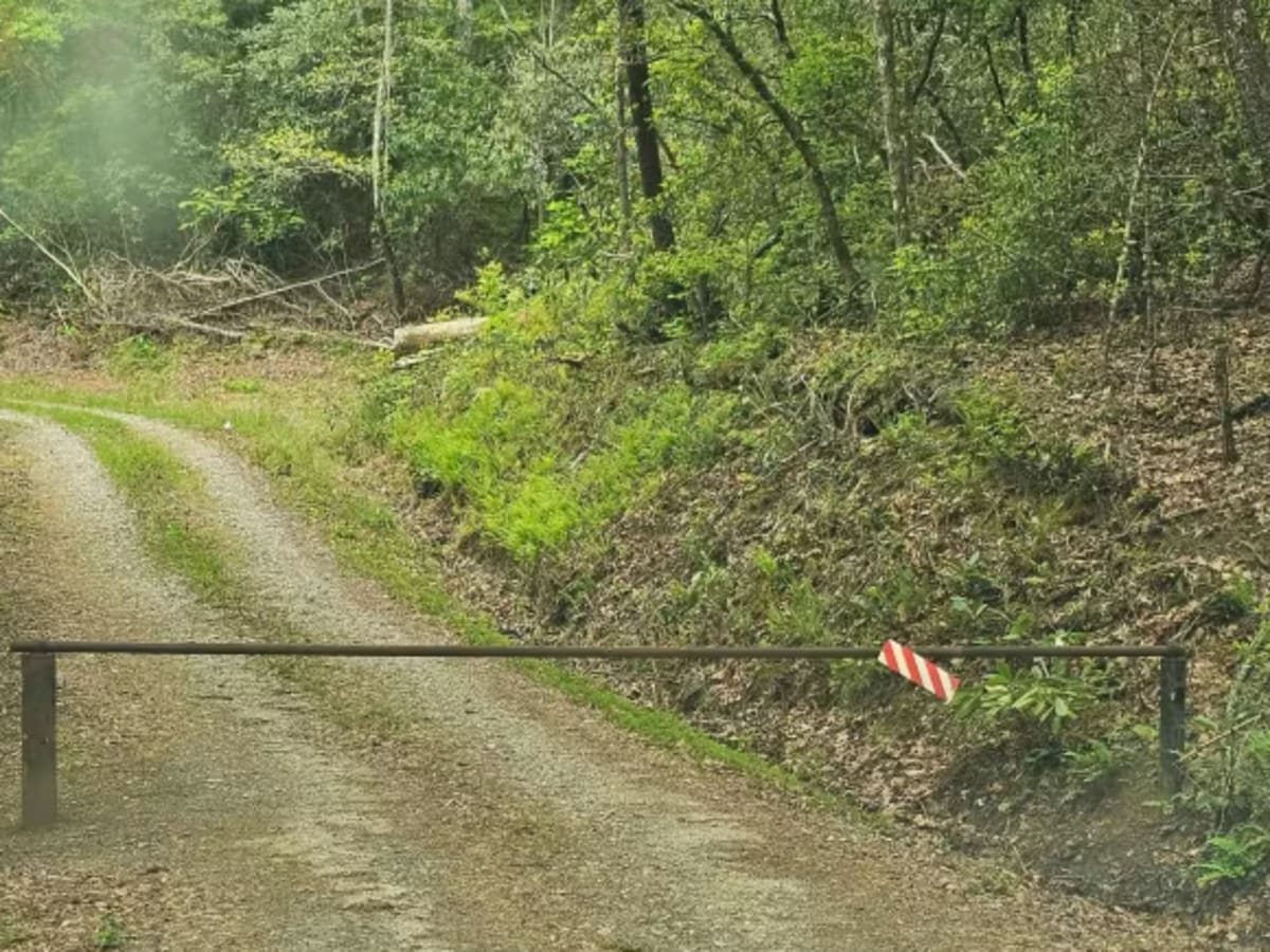 Tuckaluge Creek Road/153 photo 6
