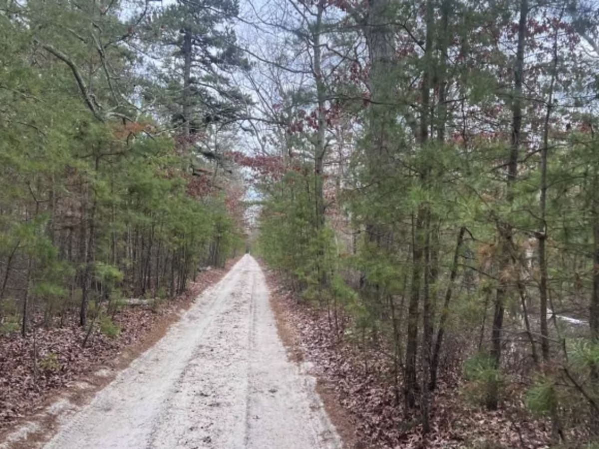 Jay's Iron Pipe Road photo 6