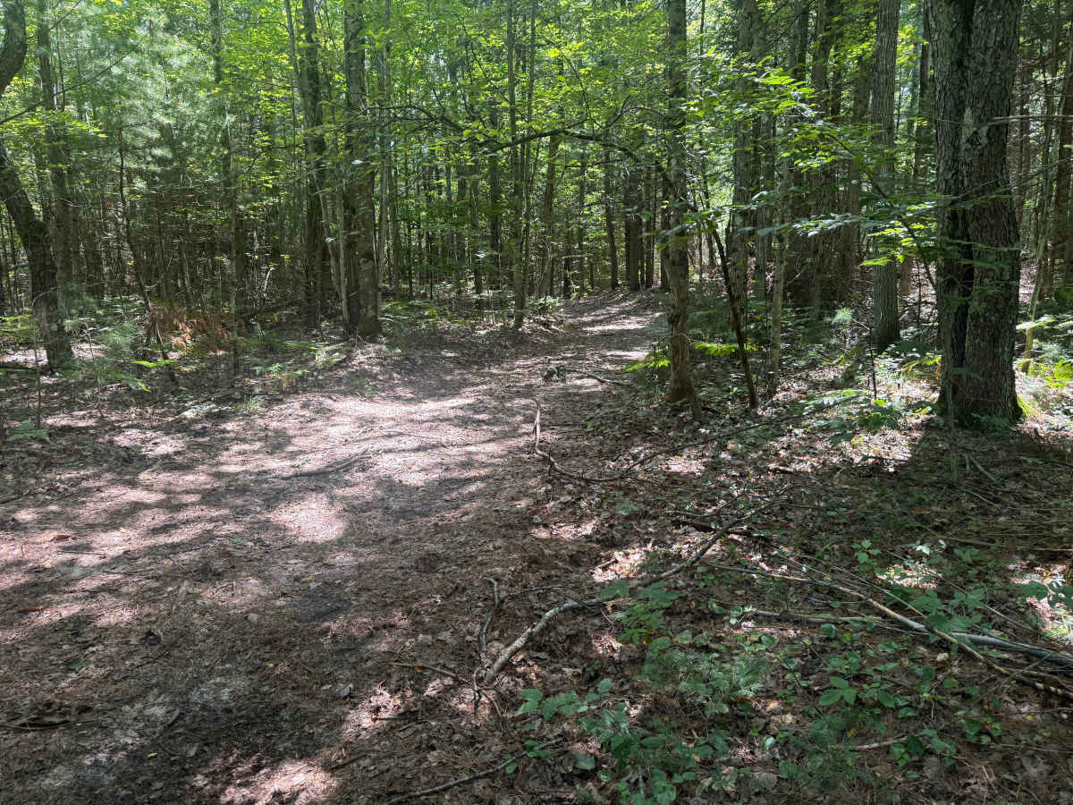 3CT Trail trail photo