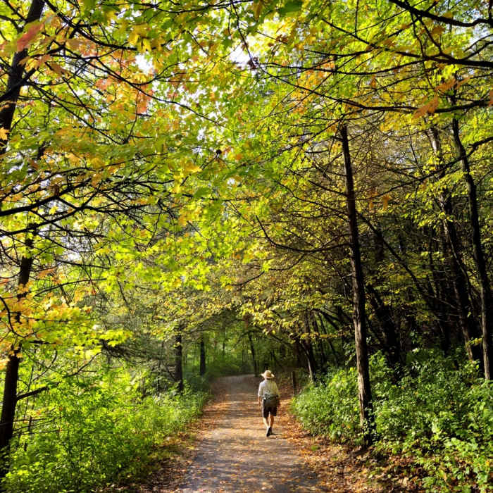 Near Lower Nine Mile Creek Trail