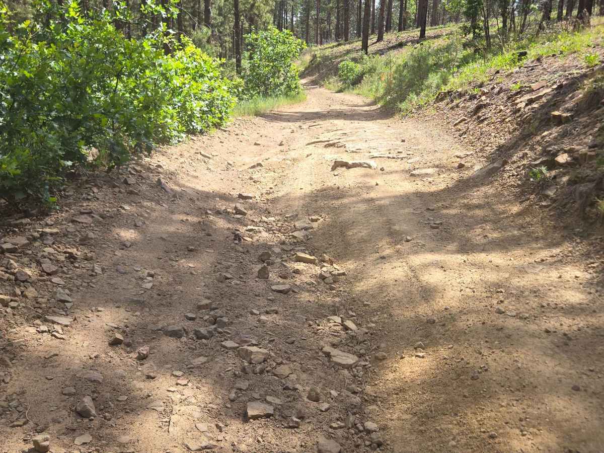 Chris Mountain Road - FS 681 photo 6