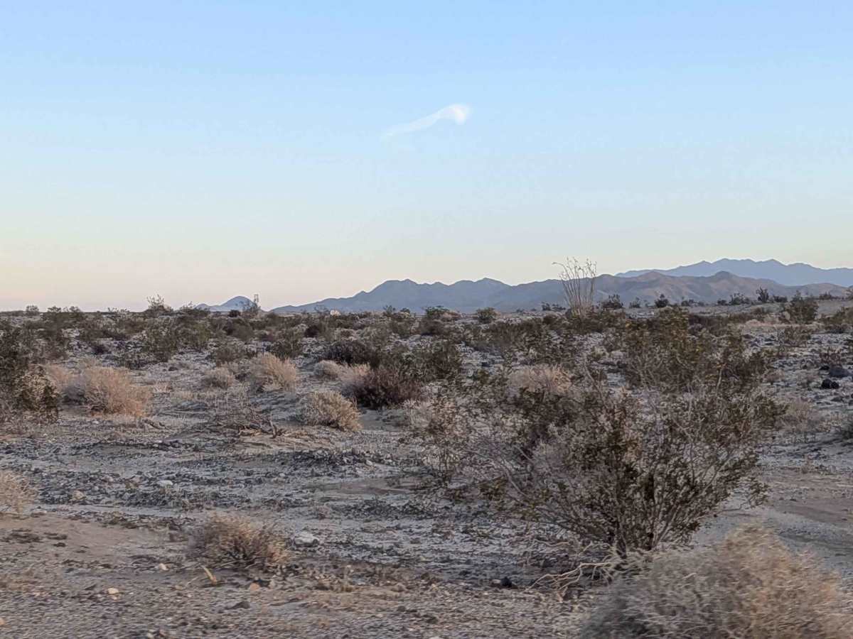 BLM 116 photo 4