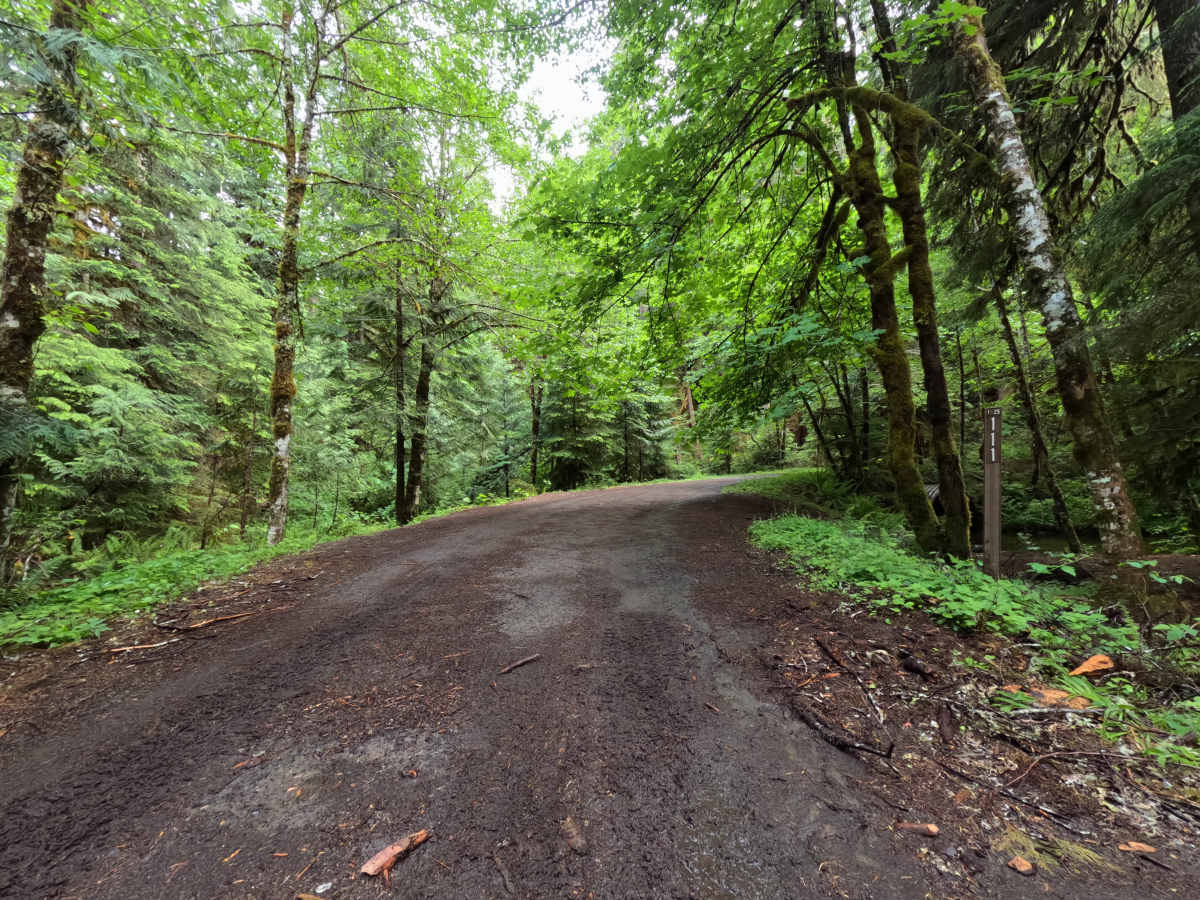 Burnt Lake Trailhead - FS 1825109 photo 6