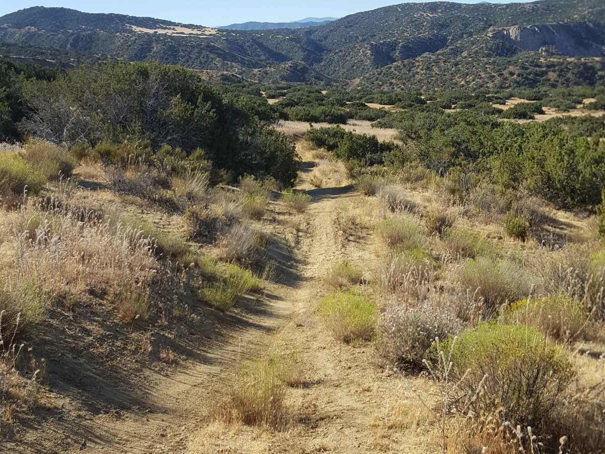 Trail 19 photo 5