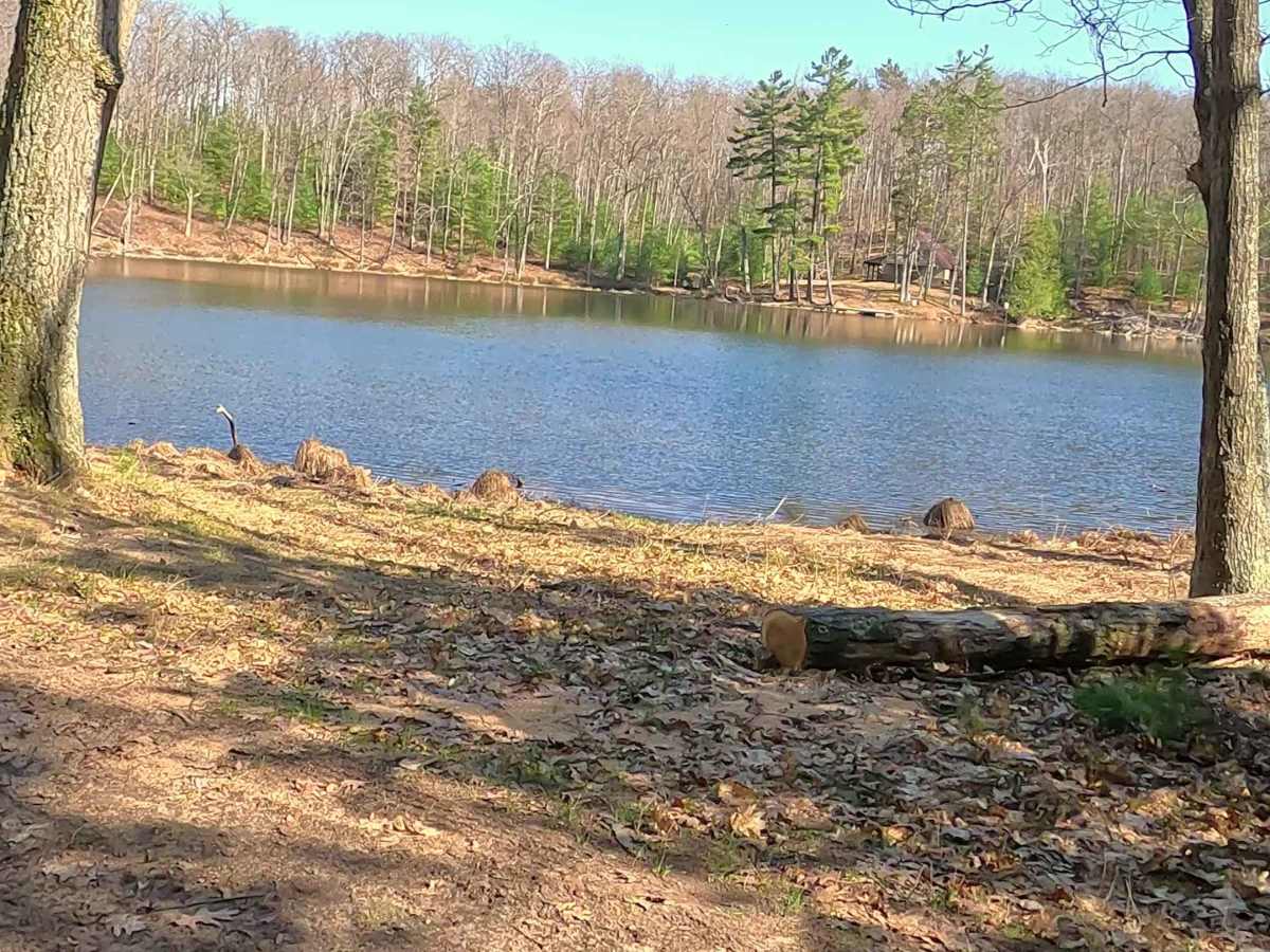 Bass Lake - FS 4227 photo 3