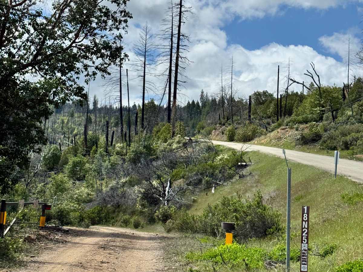 Packsaddle - FS 18N25 trail photo