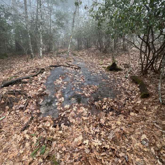 Near Rock Mountain Trail