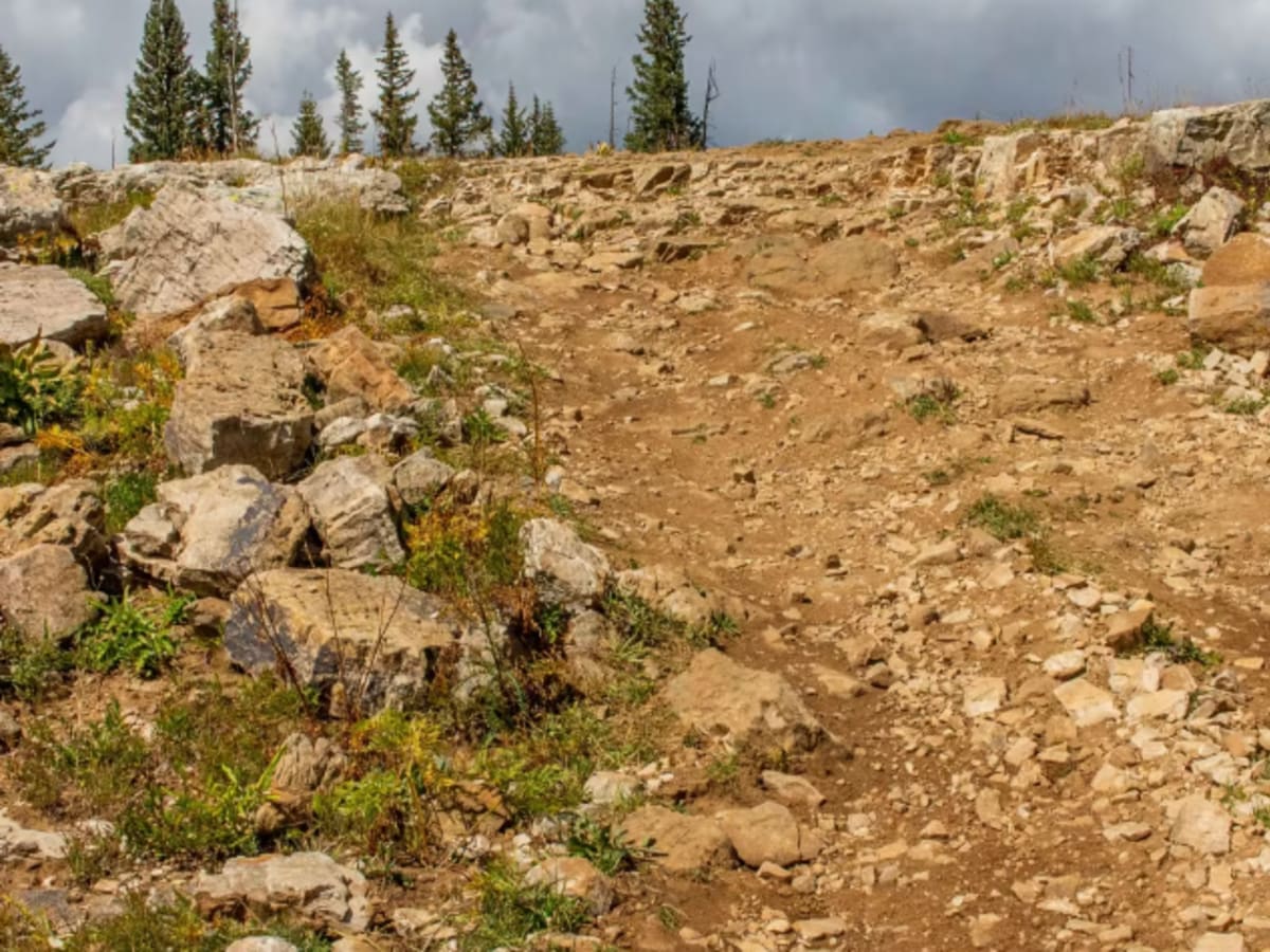 Blair Mountain - FR601 photo 3