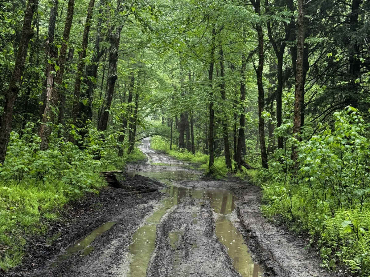 Amos Case Road - North Section photo 5