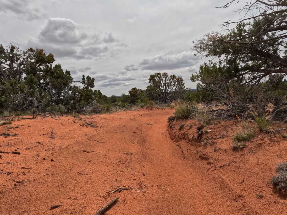 BLM 60C photo 3