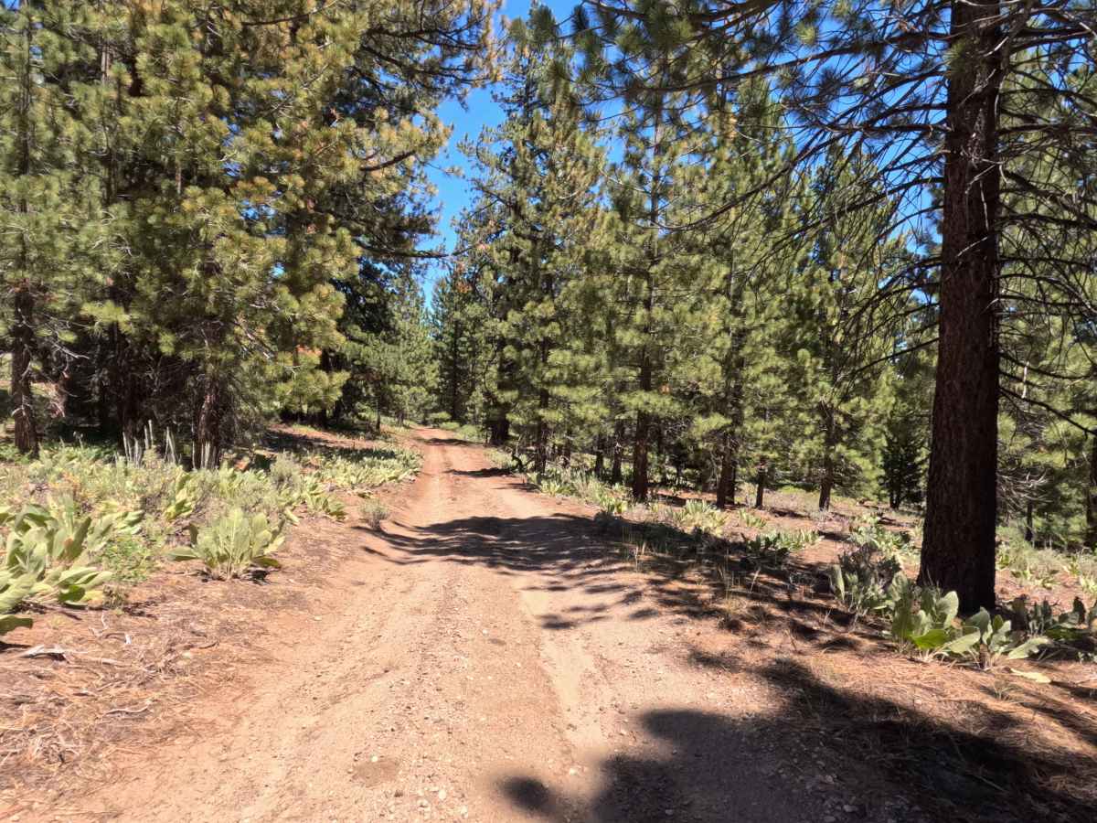 Horseshoe Road - FS 31079B photo 4