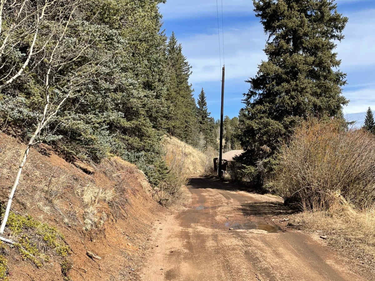 GPS Vehicle Trap - FR315 photo 5