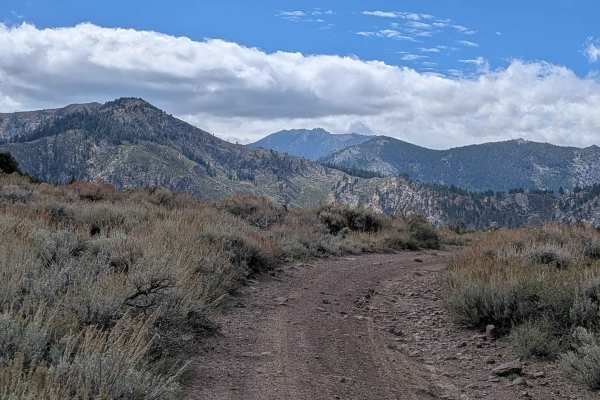 Cottonwood Meadows Road - FS 32106