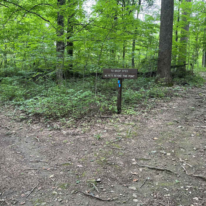 Near Voorhees State Park Loop Near Voorhees State Park Loop