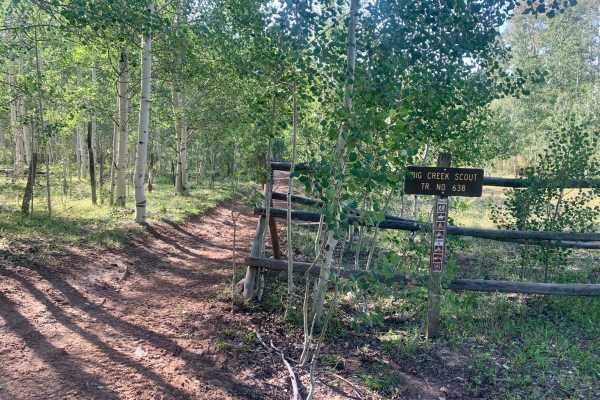 Big Creek Scout Trail