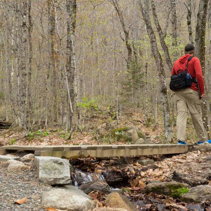 Near Lonesome Lake Trail Near Lonesome Lake Trail