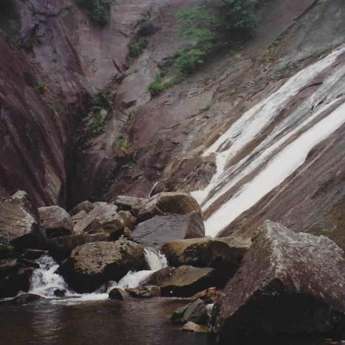 Near North Harper Creek Trail