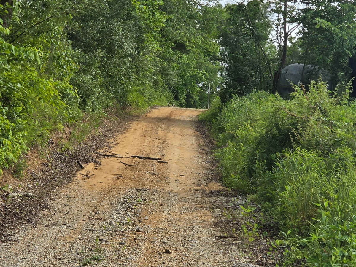 Jim Callahan Road photo 6