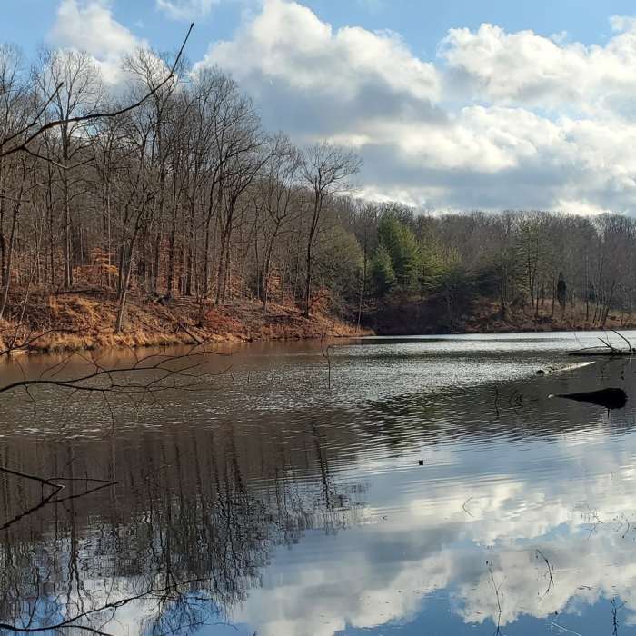 Near Twin Lakes Trail