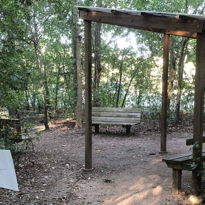 Near Creekside Trail