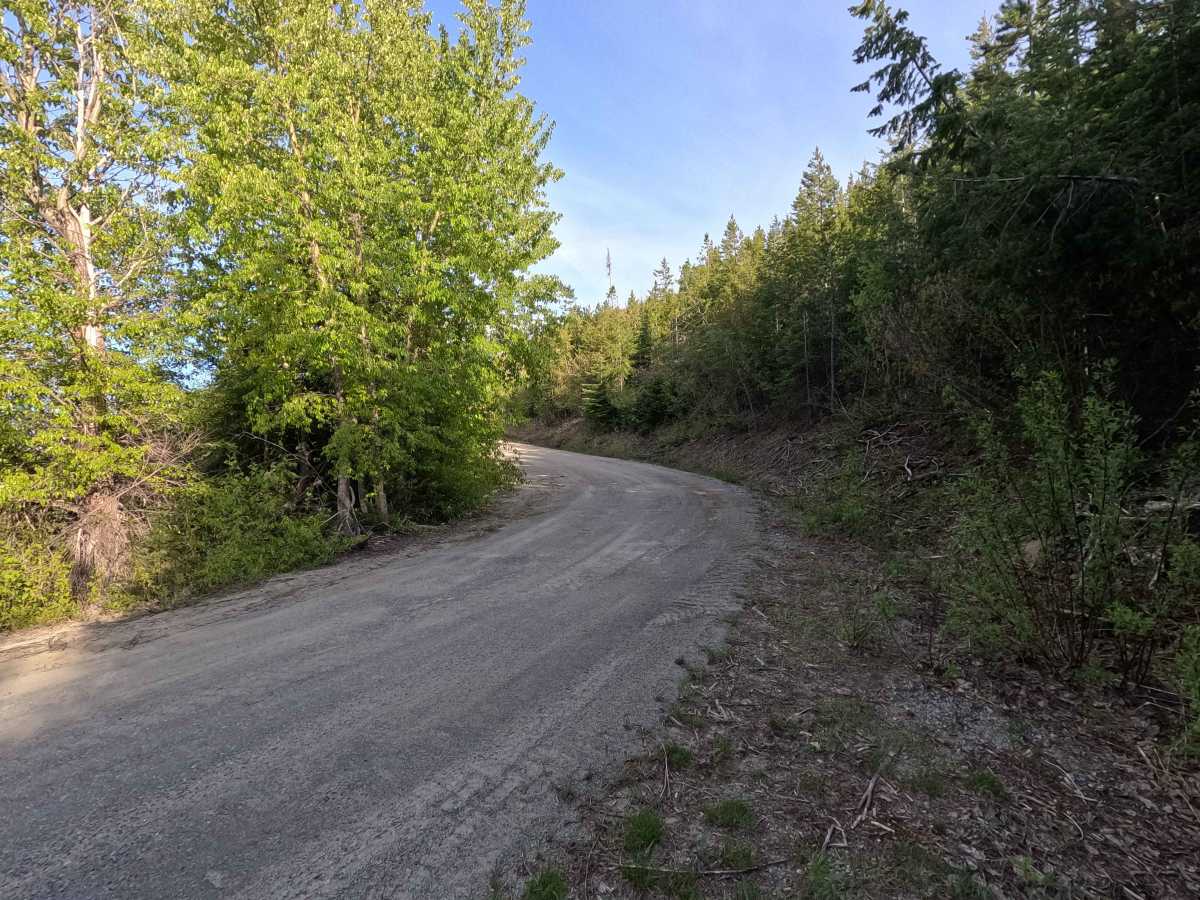 Tyee Ridge Road - FS 57 trail photo