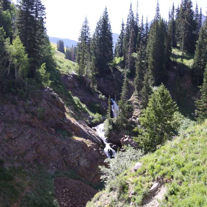 Water flowing from all sides on this route! Near Upper Albion Meadows Trail