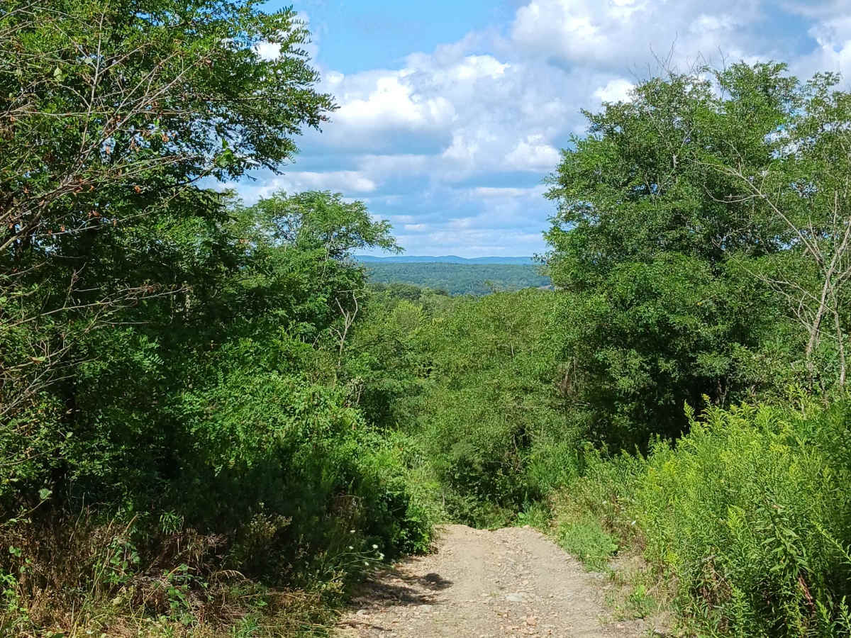 Hop Run - Rock Run Recreation Area photo 5