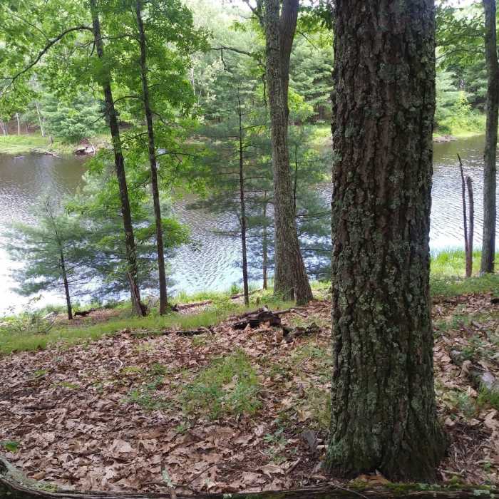 Near All Trails Loop