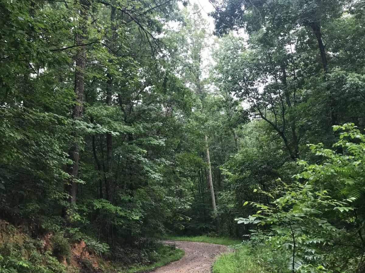 Texas Hollow  photo 2