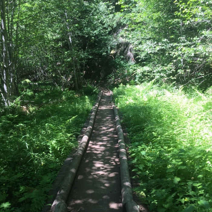 One of multiple Trail bridges Near Greenwater Lakes via Greenwater Trail #1177