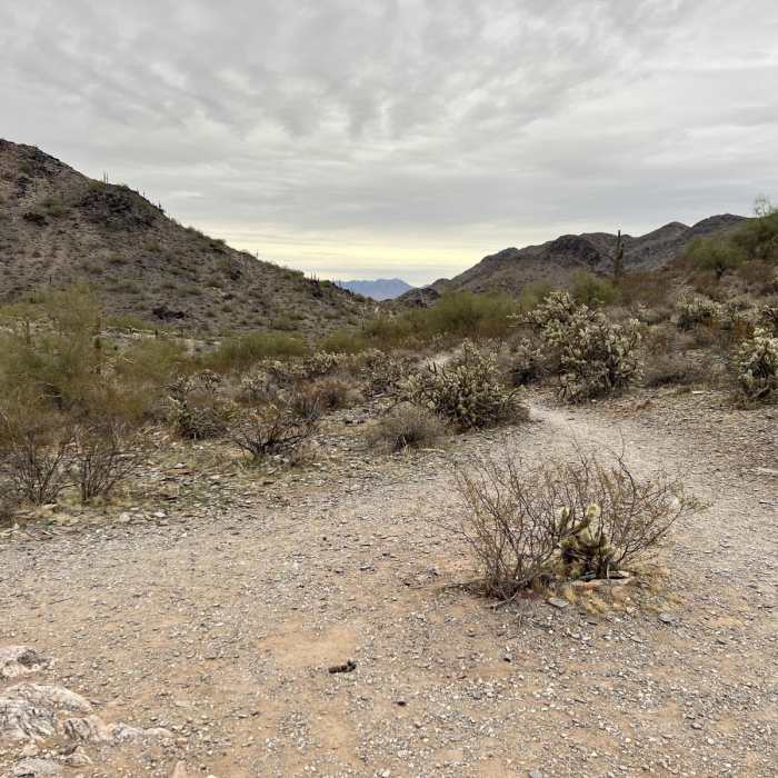 Near Piestewa Peak via 32nd Street
