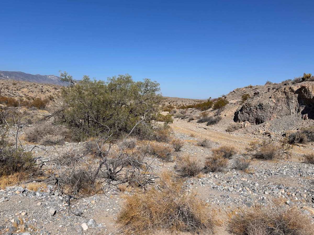 Rock Canyon Rip photo 3