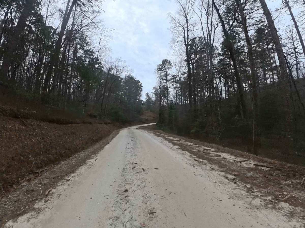 Wolf Creek Church Road - FS 515 photo 4