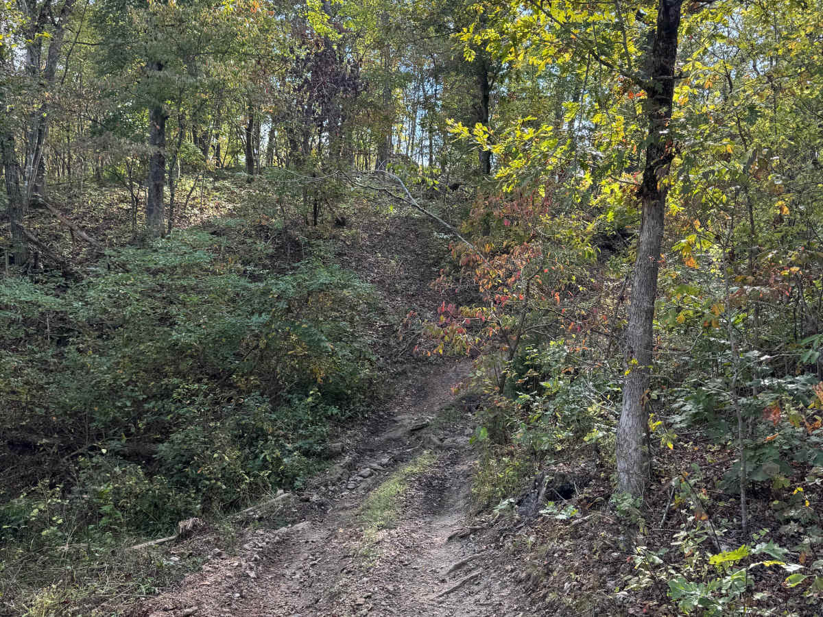 West Ridge South photo 6