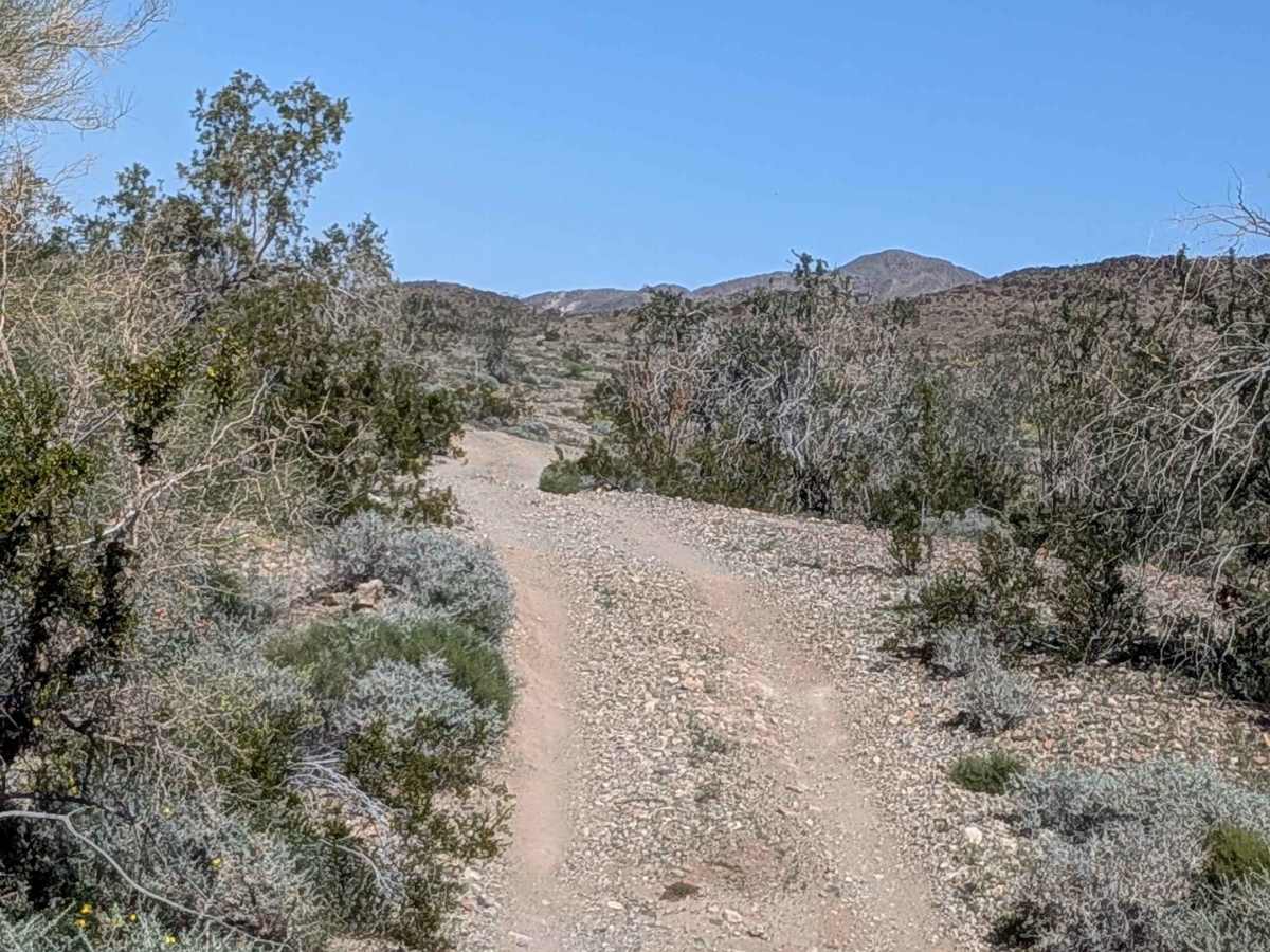 BLM 311 photo 5
