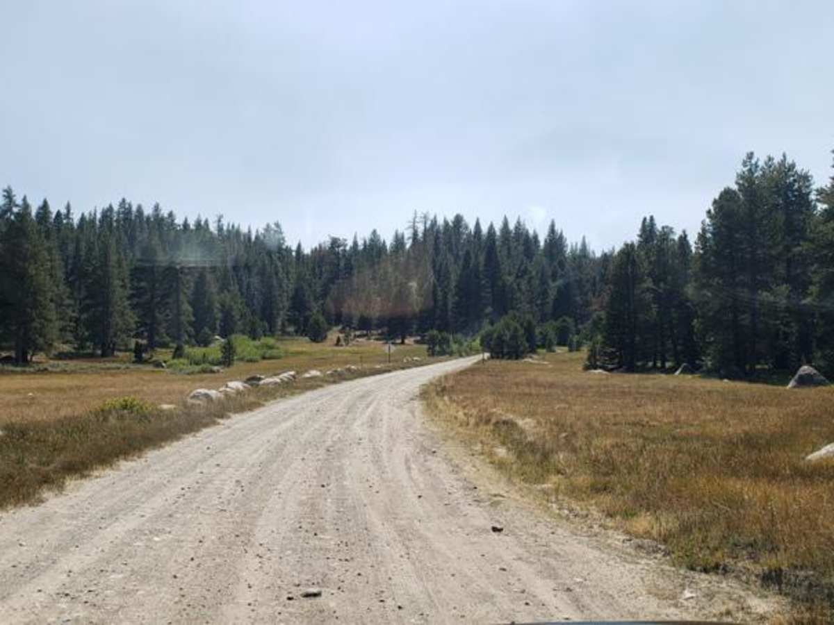 Burnside Lake Road - 31019 photo 6