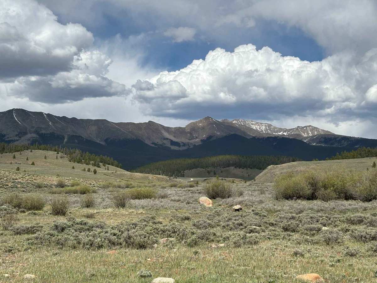 Taylor River Road photo 5