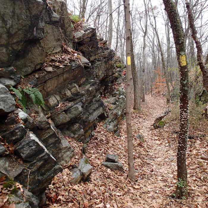 Near Hawks Watch via Wildcat Ridge Trail